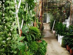 -三圣花乡旅游区