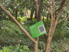 -黄埔荔枝公园