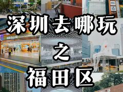 -莲花山公园