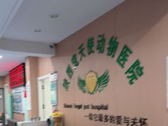 -天使宠物医院·犬猫分诊(彩虹店)