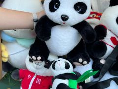 -西安电影制片厂