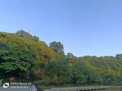 -广州市帽峰山景区