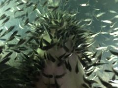 -溧阳天目湖天沐温泉