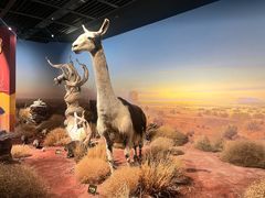 -陕西自然博物馆