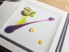 -觀芷隐轩
