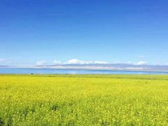 -青海湖国家重点风景名胜区