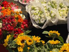 -循礼门鲜花花市(武汉循礼门店)