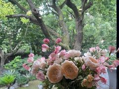 -申粤轩酒楼·三十年粤菜经典(丁香花园店)