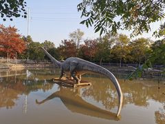 -上海海湾国家森林公园