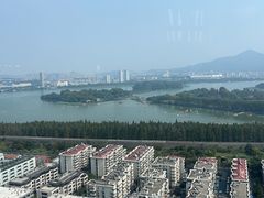 -湖景知味西餐厅•自助餐• 轻食(南京金茂威斯汀大酒店)
