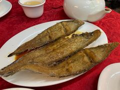 -蛇口康乐快餐鱼仔档(翠苑小区店)