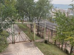 -青藏高原野生动物园