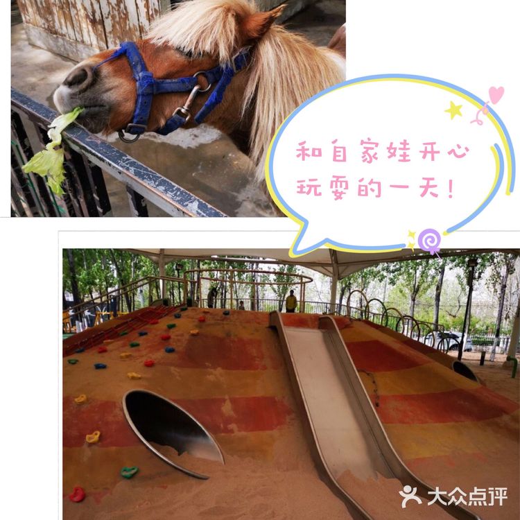 带娃打卡蓝可可亲子乐园，欢乐十足哦