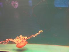 -多彩贵州城极地海洋世界