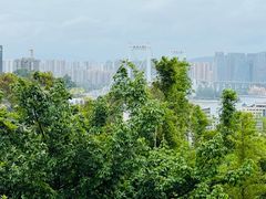-仙岳公园