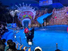 -烟台海昌鲸鲨海洋公园