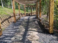 -千年银杏谷文化旅游区