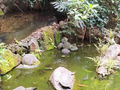-海南热带野生动植物园