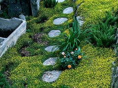 -MOJ coffee(瓯海泽雅水碓坑店)