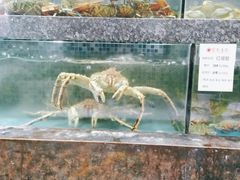 水产区-宝燕壹号(徐汇店)