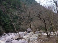 -百杖潭景区