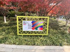 -青枫公园