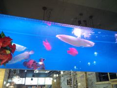 -韩礼年糕(飞虹路店)