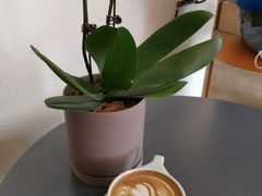 -LAB COFFEE来杯咖啡(浦仓路店)