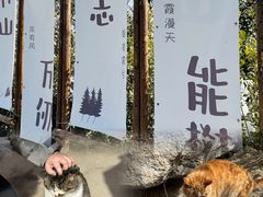 -终南山南五台景区