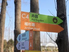 -前小桔亲子创意农场·草莓采摘·露营烧烤