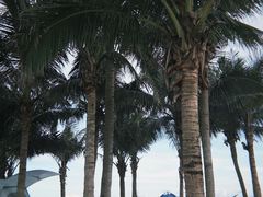 -玫瑰海岸文化旅游度假区