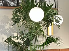 -Wagas沃歌斯(枫蓝国际店)