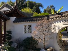 -汉庭顿图书馆