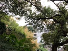 -乌山风景区