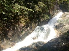 -九龙江国家森林公园