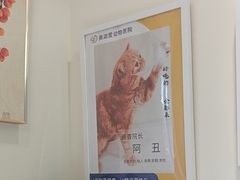 -美迦爱-动物医院·骨科·牙科·夜诊(朝阳路诊疗中心)