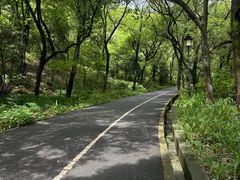 -石峰公园