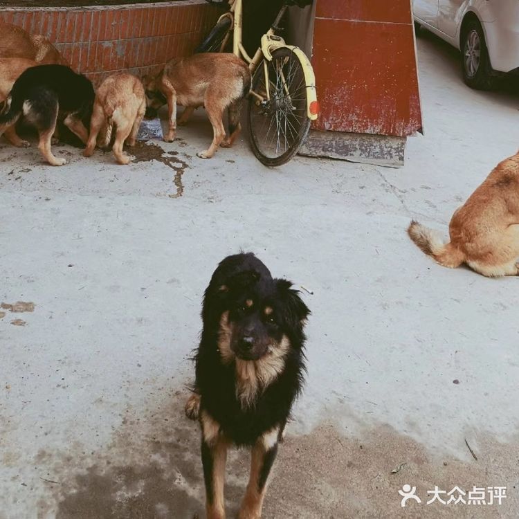 闪婚的大龄青年，2月13日领证一周年快乐。