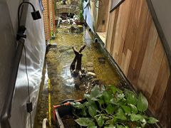 -邈墨茶馆(凤起路店)