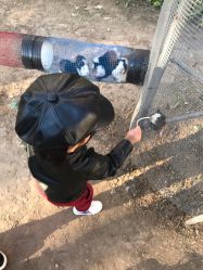 -萌宠亲子动物乐园(槐房万达店)