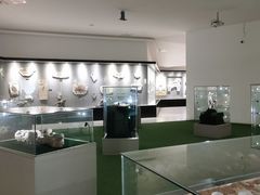 -南通洲际绿博园