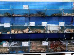 -宾朋海鲜饭庄(兴海路店)