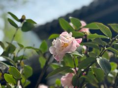-李鸿章故居