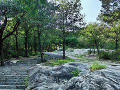 -大伊山景区