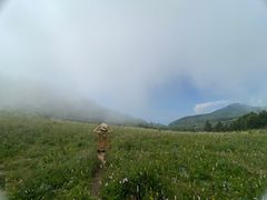 -白草畔自然风景区