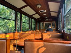 -合肥滨湖国家森林公园