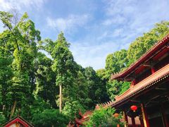 景点-都江堰普照寺