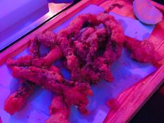-米乐星世界KTV(汇智国际商业中心店)