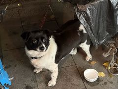 -欣悦坊陈一刀热气羊肉火锅(清真路店)