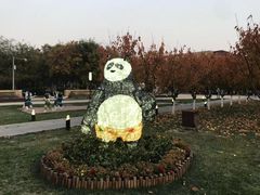 -国家动漫园